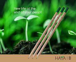 Plantable pencils
